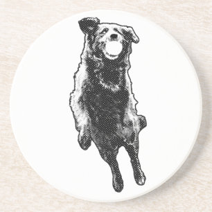 Dotlight ball focus coaster