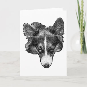 dotlight companion card