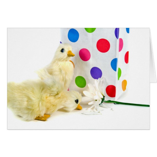 Dots, Ducks and Daisy (Front Horizontal)