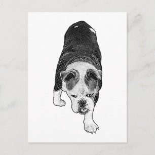 Dotted Dog Forward Energy Brightens Holiday Notes Postcard