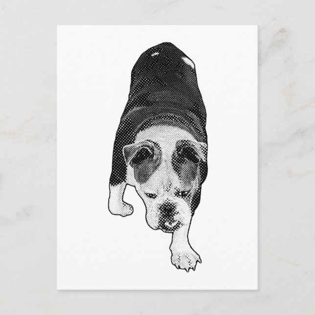 Dotted Dog Forward Energy Brightens Holiday Notes Postcard (Front)