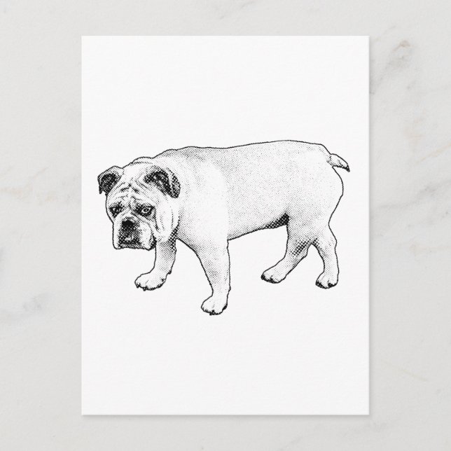 Dotted Greetings, Easy Cheer Postcard (Front)