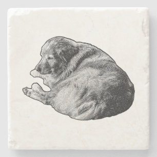 Dotted Resting Dog Adds Serenity to Gatherings Stone Coaster