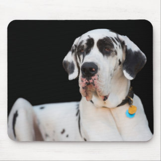 Dottie CrazyPants MousePad