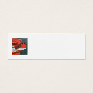 Dotty Robin Mini Business Card