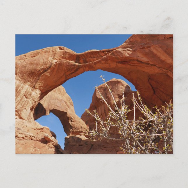 Double Arch at Arches National Park Postcard (Front)