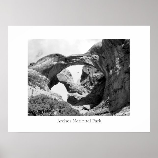 Double Arch Poster (Front)