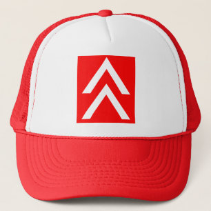 Double Arrow Trucker Hat