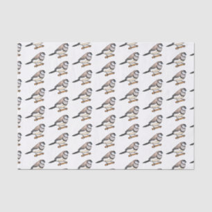 Double-barred finch bird cartoon illustration tissue paper