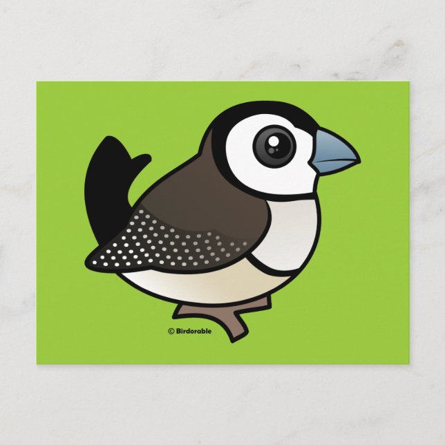 Double-barred Finch Postcard (Front)