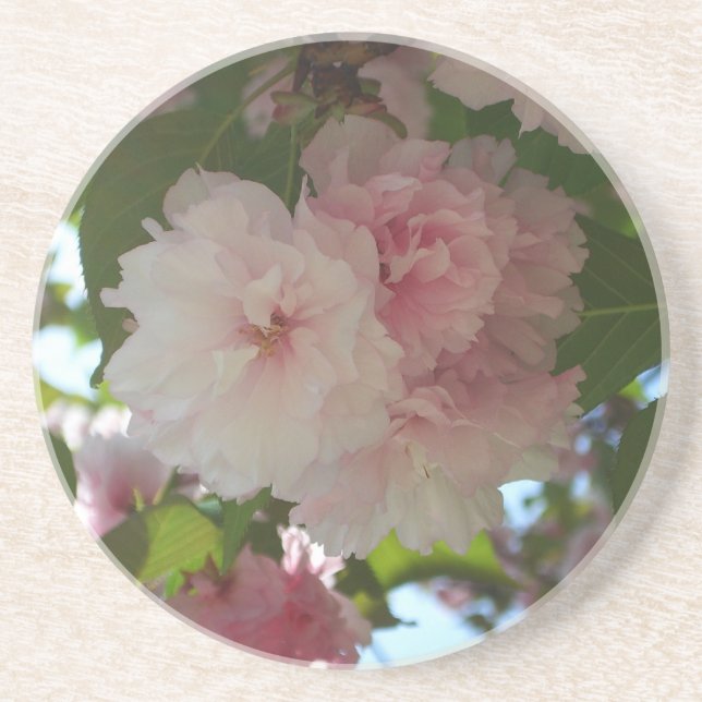 Double Blossoming Cherry Tree I Spring Floral Coaster (Front)