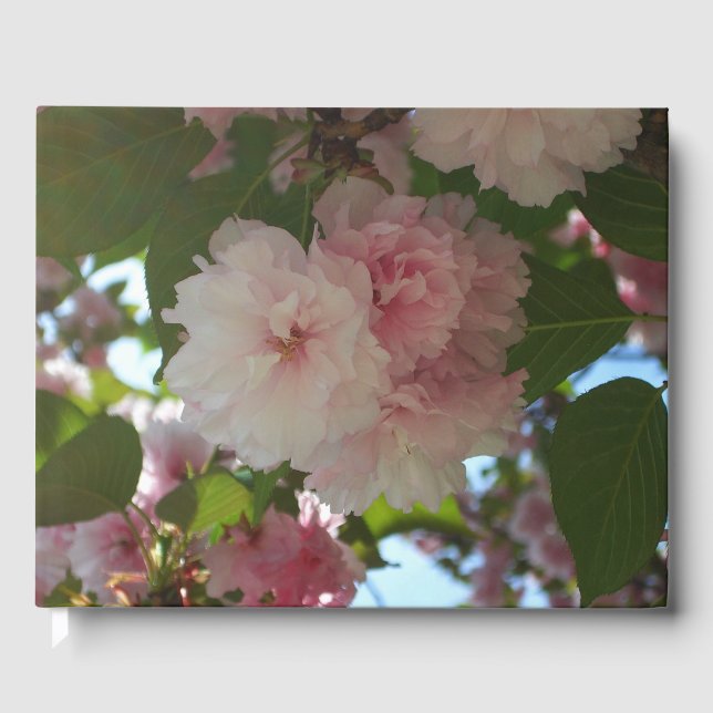 Double Blossoming Cherry Tree I Spring Floral Guest Book (Front)