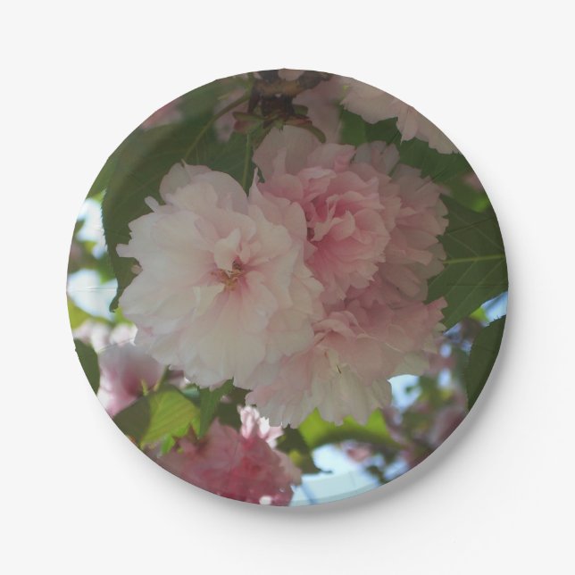 Double Blossoming Cherry Tree I Spring Floral Paper Plate (Front)