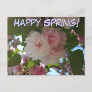 Double Blossoming Cherry Tree I Spring Floral Postcard