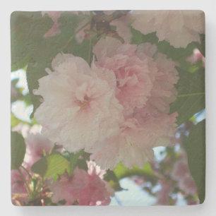 Double Blossoming Cherry Tree I Spring Floral Stone Coaster