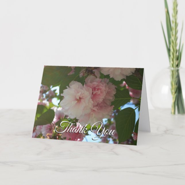 Double Blossoming Cherry Tree I Spring Floral Thank You Card (Front)