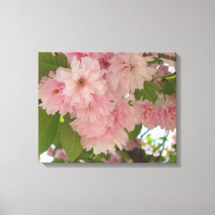 Double Blossoming Cherry Tree II Spring Floral Canvas Print