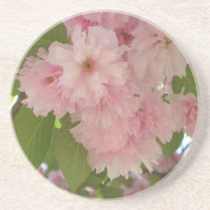Double Blossoming Cherry Tree II Spring Floral Coaster