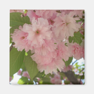 Double Blossoming Cherry Tree II Spring Floral Magnet