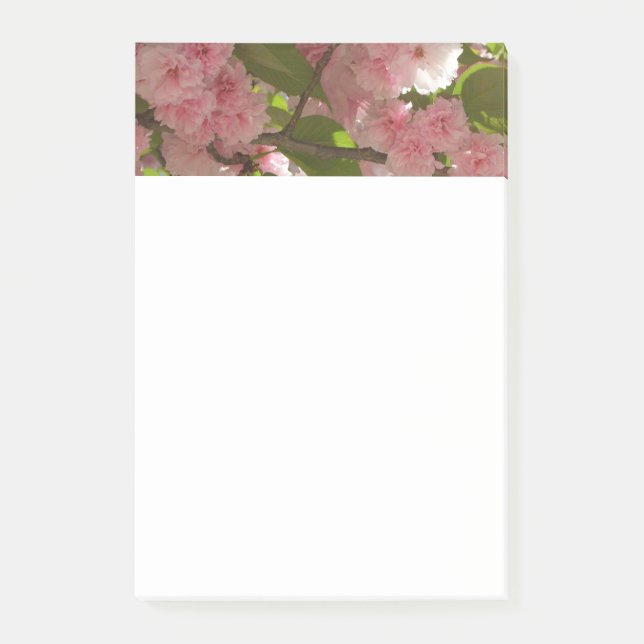 Double Blossoming Cherry Tree III Spring Floral Post-it Notes (Front)