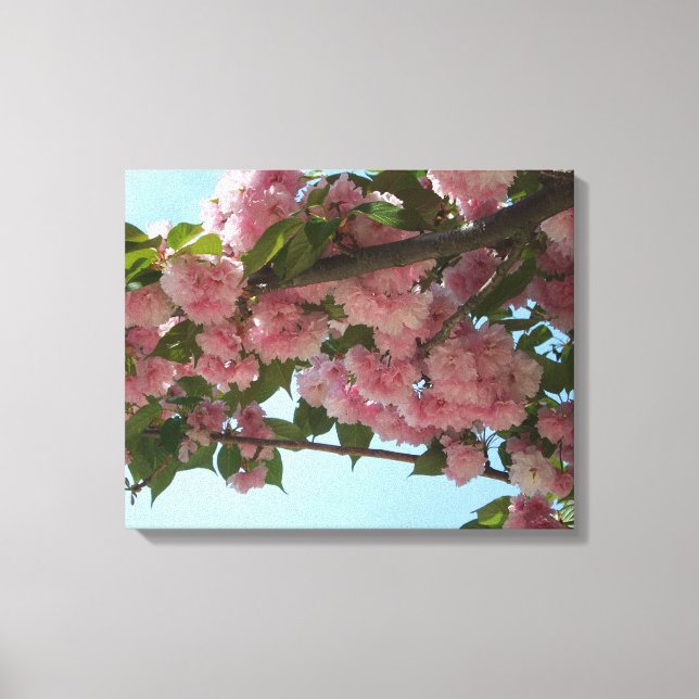 Double Blossoming Cherry Tree IV Spring Canvas Print (Front)