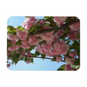 Double Blossoming Cherry Tree IV Spring Magnet