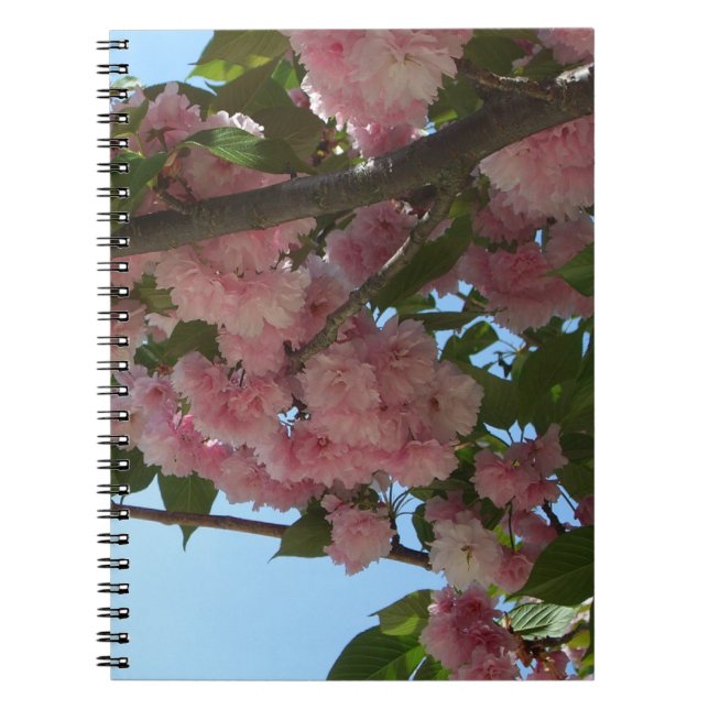 Double Blossoming Cherry Tree IV Spring Notebook (Front)