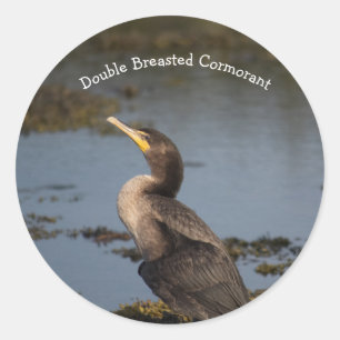 Double breasted cormorant  classic round sticker