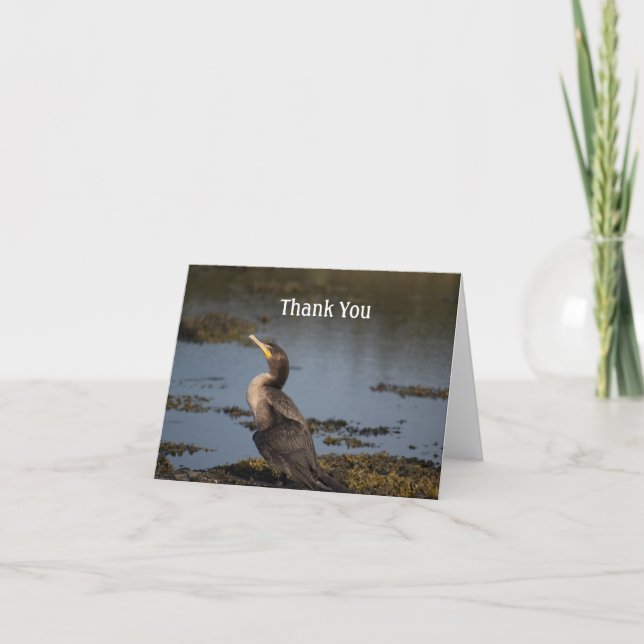 Double breasted cormorant thank you card (Front)