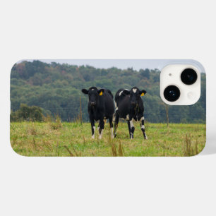 Double Cattle Trouble iPhone Case