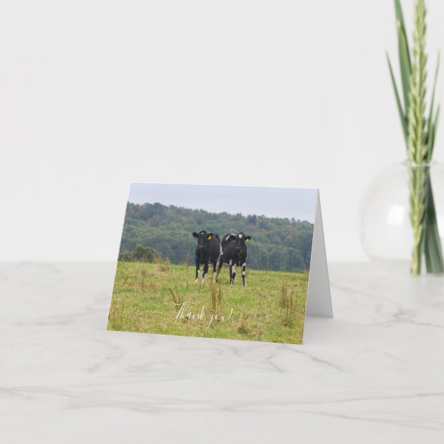 Double Cattle Trouble Thank You Card (Front)