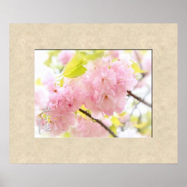 Double Cherry Blossom: Benitemari Poster (Front)