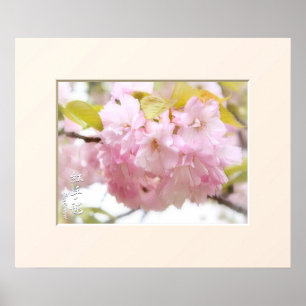 Double Cherry Blossom: Benitemari Poster