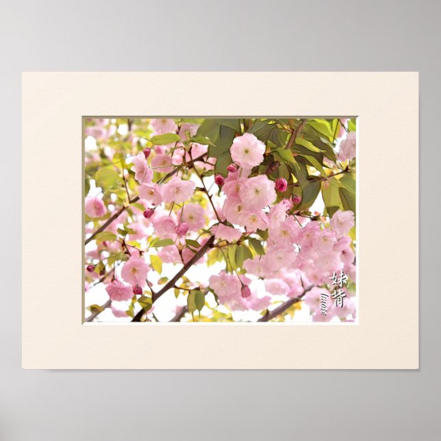 Double Cherry Blossom: Imose Poster (Front)