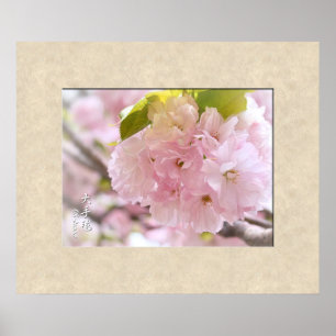 Double Cherry Blossom: Oh-demari Poster