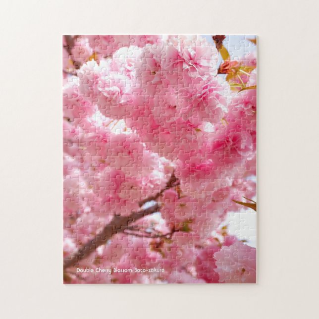Double Cherry Blossom: Sato-zakura Jigsaw Puzzle (Vertical)