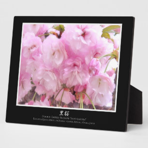 Double Cherry Blossom: Sato-zakura Plaque