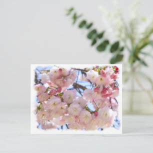 Double Cherry Blossom: Shogetsu Postcard
