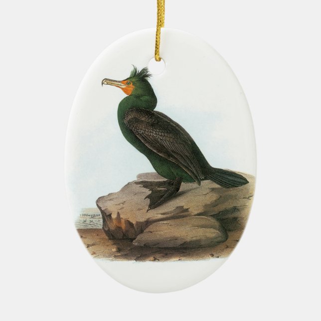 Double-crested Cormorant by Audubon Ceramic Ornament (Front)