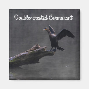 Double-crested Cormorant Magnet