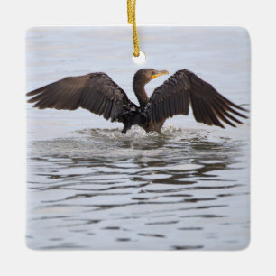Double-crested Cormorant Ornament 