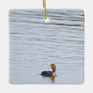 Double-crested Cormorant Ornament 