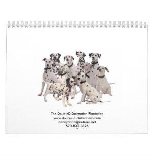 Double- D- Dalmatians 2010 Calendar