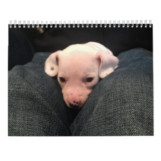 Double Dachshund Calendar