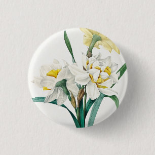 Double Daffodil,  Pierre-Joseph Redouté, 1827 3 Cm Round Badge