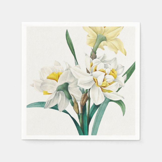 Double Daffodil,  Pierre-Joseph Redouté, 1827 Napkin (Front)