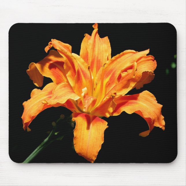 Double Day Lily Mouse Pad (Front)