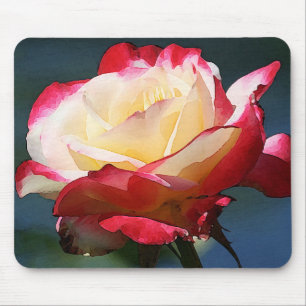 'Double Delight' hybrid tea rose Mouse Pad