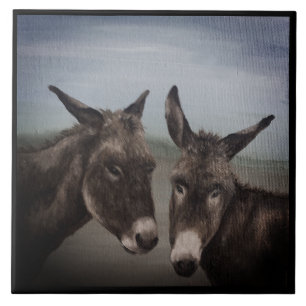 Double Donkey Ceramic Tile