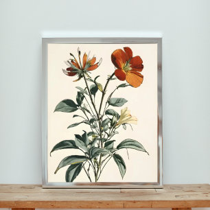 Double Elegance: A Botanical Illustration Photo Print
